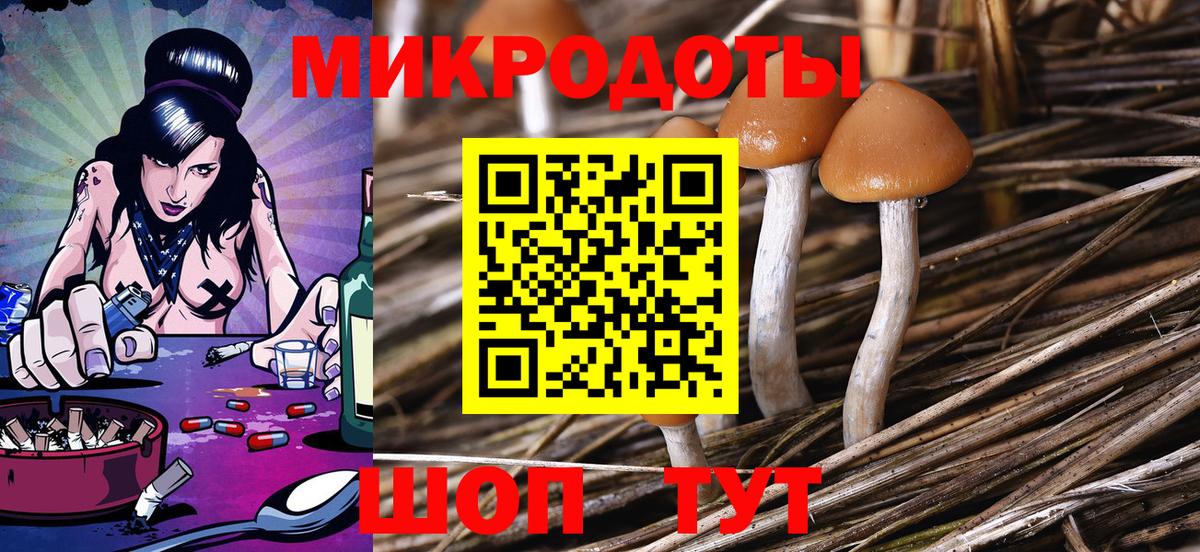 Псилоцибиновые грибы Psilocybe  Вход с VPN  Галлюциногенные грибы Magic Shrooms  Шали 