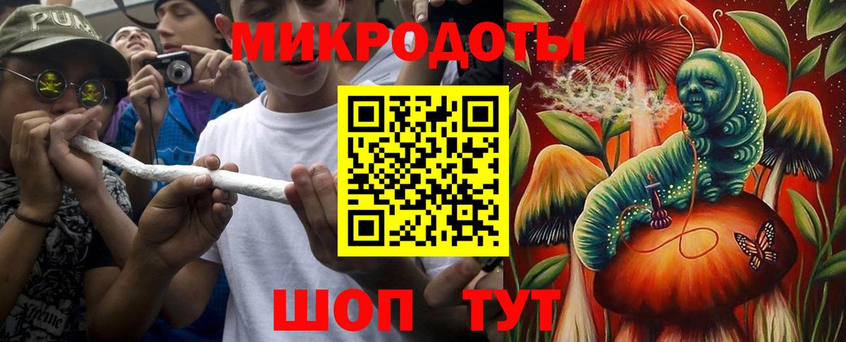 Галлюциногенные грибы Psilocybine cubensis Шали
